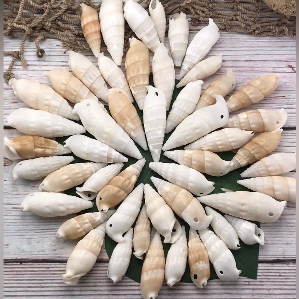 ICICLE SHELLS Cerithium Shells preDrilled HOLES Crafting Jewelry Making DIY Lot